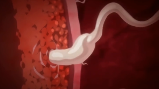 Thumbnail of post image 024