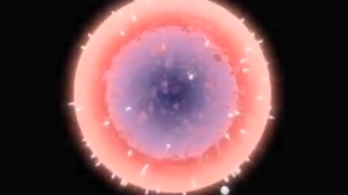 Thumbnail of post image 072