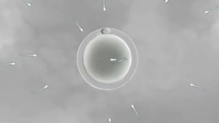 Thumbnail of post image 190