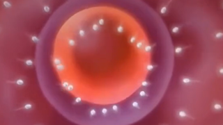 Thumbnail of post image 162