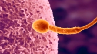 Thumbnail of post image 123